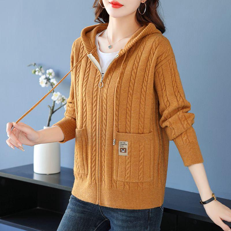 Fashion Korean Cardigan Sweater Jacket Women Hooded Loose Zipper Sweater Female Elegant Knitwear Overcoat Tops