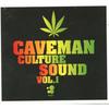Albume muzicale