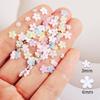 3D Flower Nail Charms, 6 Grids Acrylic Flower DIY Jewelry Craft Decorations