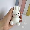 1/2Pcs Simulation Carrot Rabbit Squeeze Toy Stress Anxiety Relief Bunny Vegetable Sensory Toy Soft TPR Calming