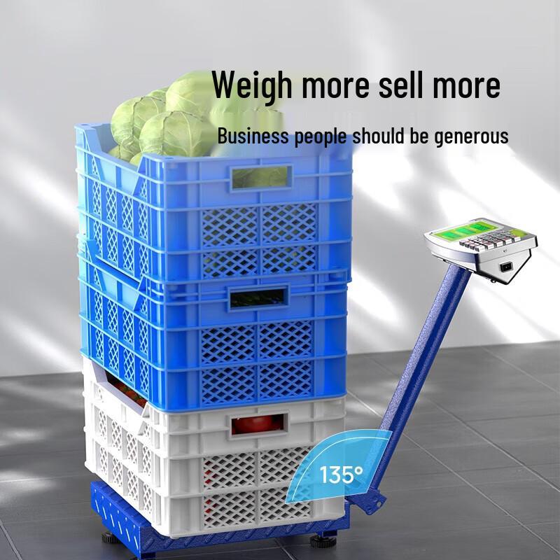 Konka Commercial 180kg Stainless Steel Digital Platform Scale