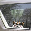 Two Tricolor Corgi Car Stickers Waterproof Vinyl Decals Auto Body Window Bumper Decor Motorcycle Helmet Stickers TM227