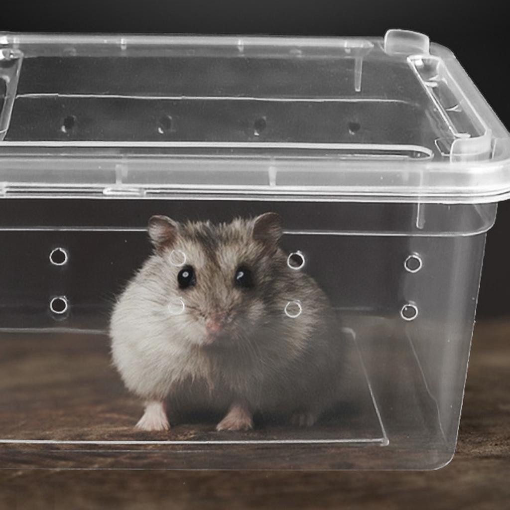 Reptile Breeding Box Lizard Tarantula Habitat Cage Hatching Container for Gecko Insect Tortoise