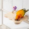 Rectangle Parrot Perch Stand Anti Slip Hanging Feeding Platform  Cage Accessories