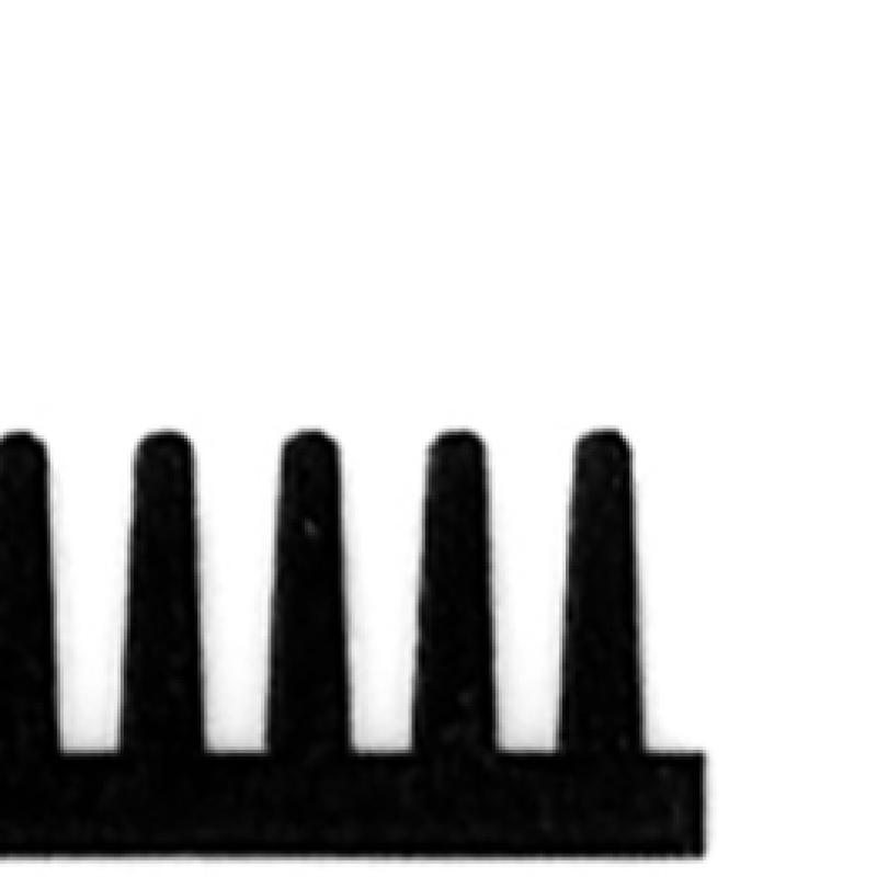 Daiso Two Type BristLe Straight Comb L