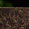 250g Cărămidă Ceai Puerh Brut Jingmai Arbor Pu-erh Shengcha Yunnan Pu'er Ceai Verde