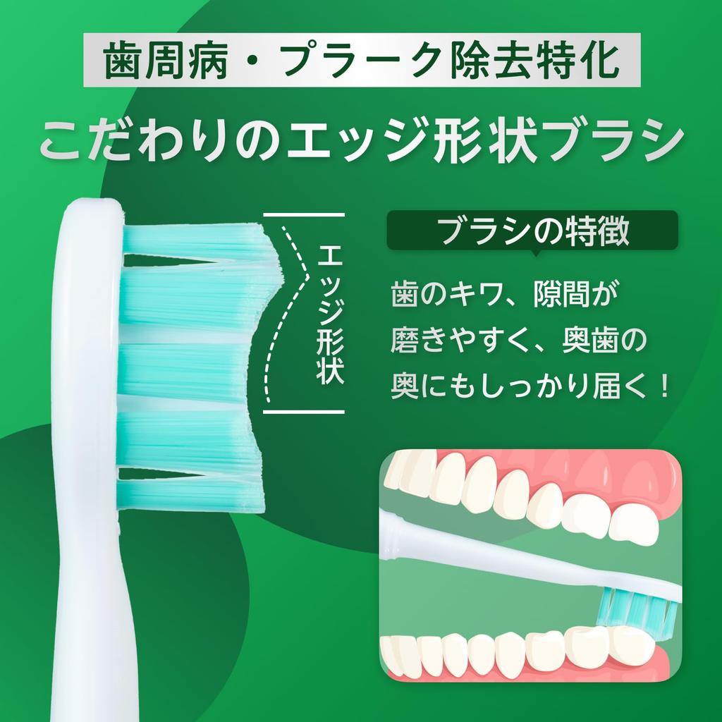 Now Available At Dental Clinics In Brushmo Compatible Brushes for Philips Sonicare Electric Clean Plus Plaque Regular Pack of 8 Tokyo Toothbrushes,