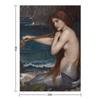 The Mermaid - John William Waterhouse Throw Blanket Travel anime warm winter Retros Blankets