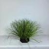 5PCS Simulated Small Grass Bushes for Decorating Fake Grasslands Simulating Reeds and Fake Green Plants Home Decoration PVC Material