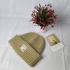 Cappello di lana più venduto alfabeto autunno e inverno cappello freddo uomo e donna coppie cappello lavorato a maglia caldo ispessito protezione orecchie semplice
