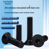 Black Zinc Plated 304 Stainless Steel Countersunk Flat Head Hex Socket Screw M2-M8