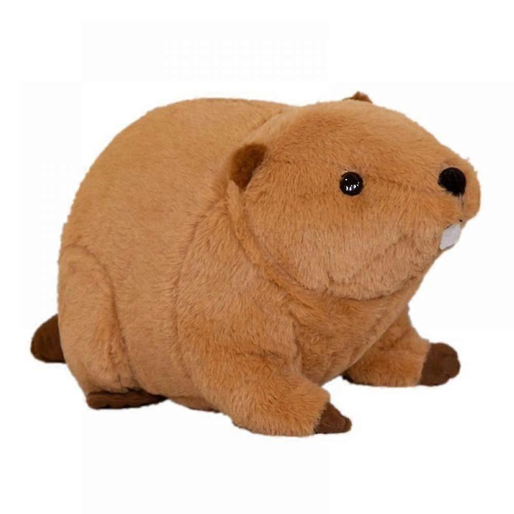 SSRGV Lifelike Beaver Stuffed Animal with Big Front Teeth Animated Plush Toy Doll Super Realistic Beaver Act Like Real Excellent Gifts 17.7 Inches