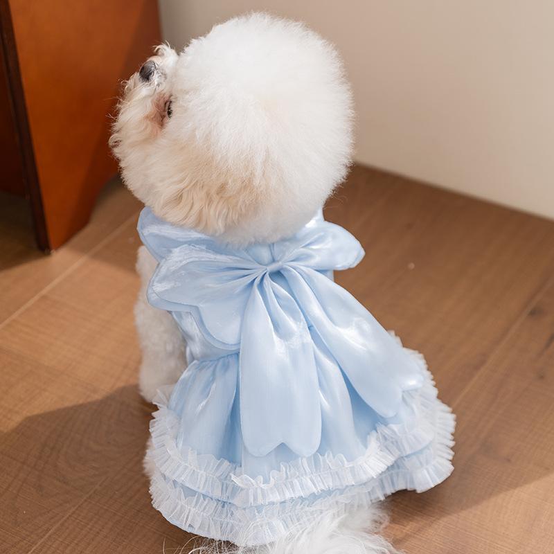 

Cute Princess Pet Dress for Small Dogs & Cats, Lightweight Breathable Summer Clothes, 2 Sizes, Daily & Outdoor Wear L (4-6kg)