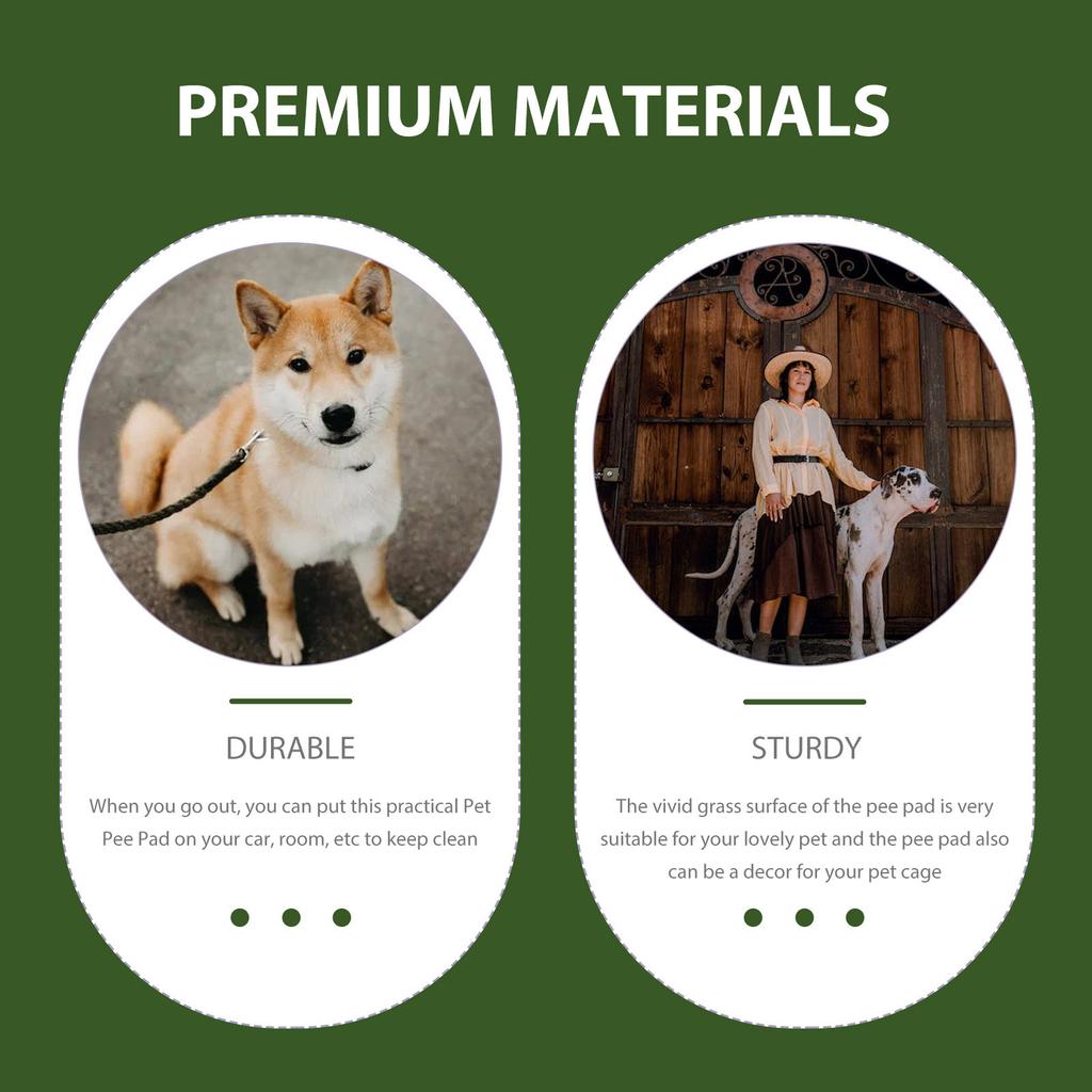 Delicate Pet Pee Mat with Realistic Grass Texture Supple Water Absorbing Pe Tpr Material for Car Room Home Use Dog Supply