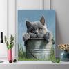 British Shorthair cat and plants Pattern  3pcs 100% Round Full Drill 5D DIY Diamond Painting Embroidery Cross Stitch Rhinestone Décor