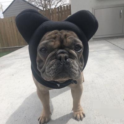 Honden Wintermuts Fleece Warm Honden Hoofddeksel Oorklep Verstelbare Honden Capuchonmuts Oorwarmers Winddicht Nekwarmer Sjaal voor Kleine Middelgrote Puppy Honden