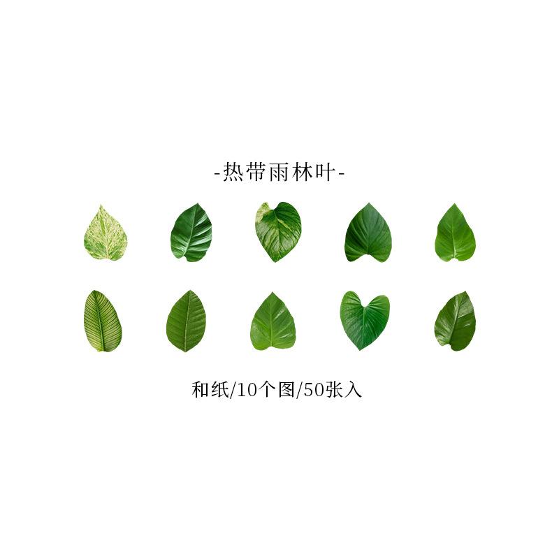 1roll/50pcs Yellow Autumn Leaves Series, Creative Plant Stickers for Hand Account Decoration