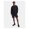 Шорты Under Armour 1390299-411