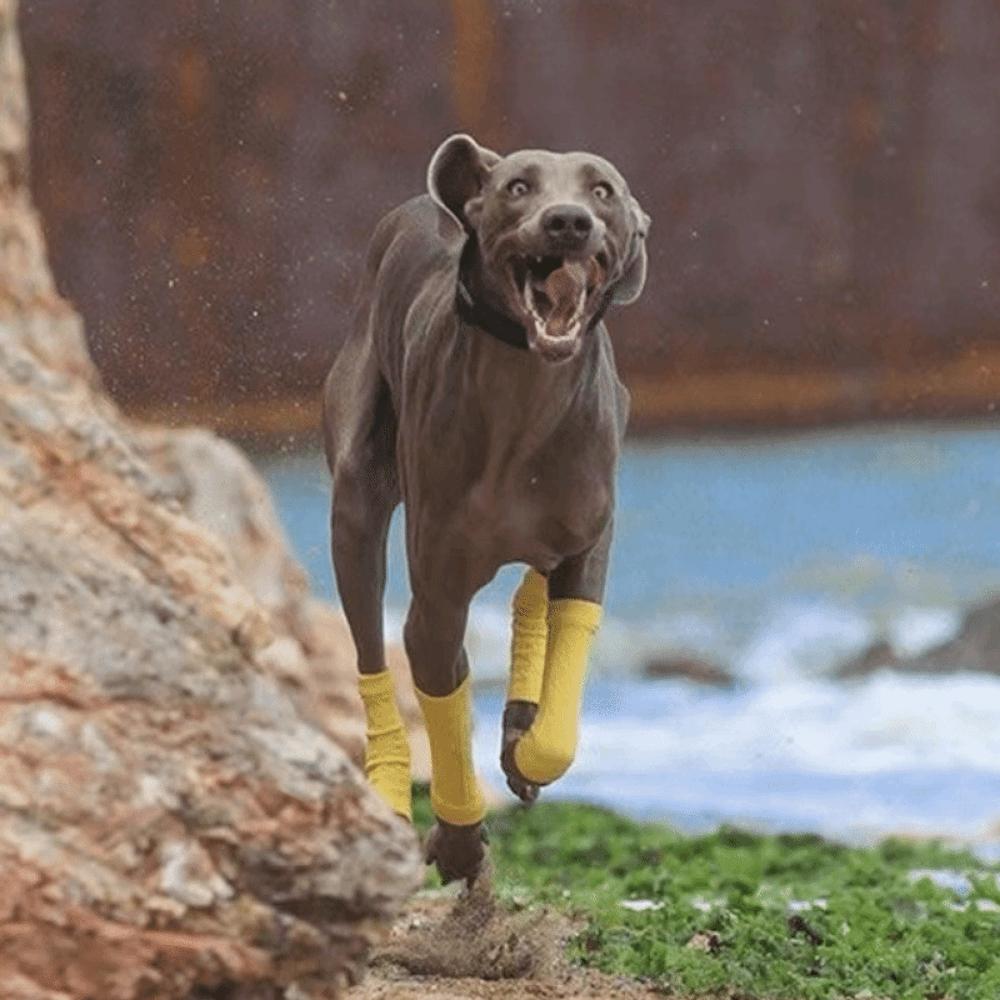 Warme Hundebeinlinge Elastische Gestrickte Hundebeinwärmer Welpenbeinschutz Haustier Socken Beinschutz