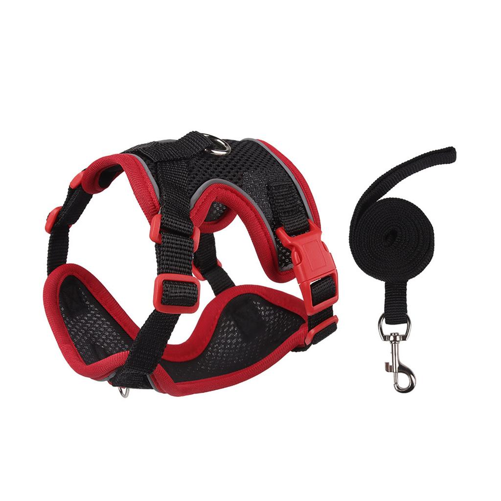 & Small Dog Leash Set - Outdoor Pet Vest for Puppies & Kittens