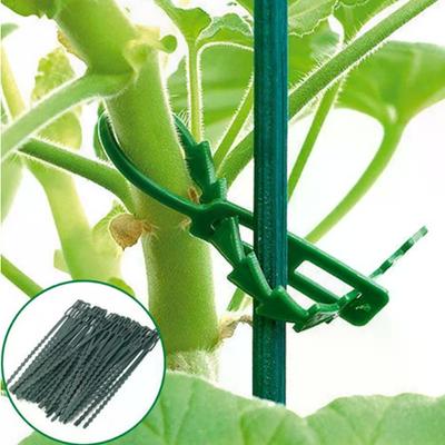 50Pcs Adjustable Plastic Plant Cable Ties Reusable Self-locking Ties Garden Plant Vine Supports Cable Ties Stem Clip Fastener