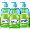 Blue Moon Aloe Vera & Wild Chrysanthemum Hand Wash Combo Pack