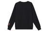 Jordan Sweatshirts Men's Black Crew Neck Moderate Regular CZ5468-010