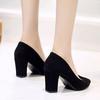 High Heels Women's Autumn New Thick Heel Pointed Suede Single Shoes Fashionable Simple Work Shoes