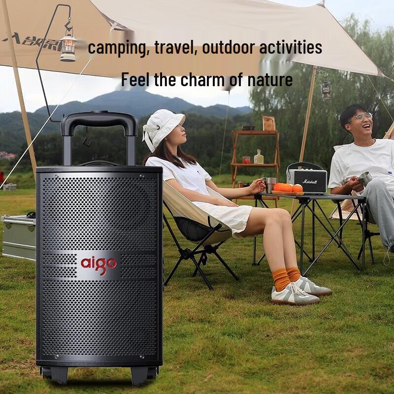 Aigo S308 8-inch Portable Bluetooth Karaoke Trolley Speaker