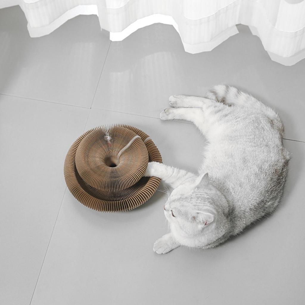 Magische Orgel Katzenkratzbrett Interaktives Katzenspielzeug mit Ball Skalierbares Rundes Wellpappe Katzenkratzspielzeug Kätzchen Spielzubehör