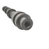 14200-RYE-A10: Compatible with Acura ZDX MDX J37A V6 Exhaust Camshaft Eccentric Shaft Assembly