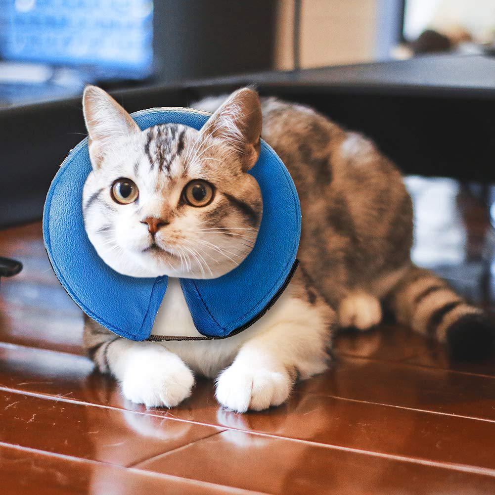 cat lampshade collar