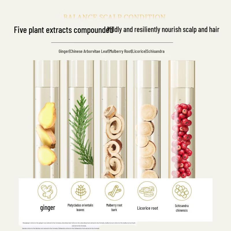 Seeyoung Ginger Anti-Breakage Hair Care Set