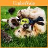 Brinquedos de Pelúcia Macios e Fofos para Cães com Apito Ideais para Cães em Fase de Dentição