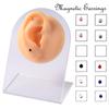 12PCS/Card Fake Cheater Non Pierced Magnet Ear Tragus Cartilage Lip Labret Stud Nose Ring Jewelry Magnetic Earring