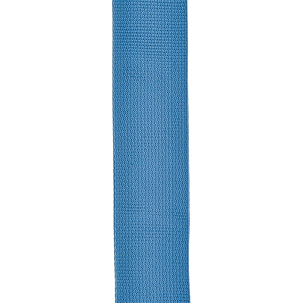 D'Addario Daddario Guitar Strap Poly-Pro Guitar Strap Acoustic Quick Release PWSPA202 Blue [Domes...