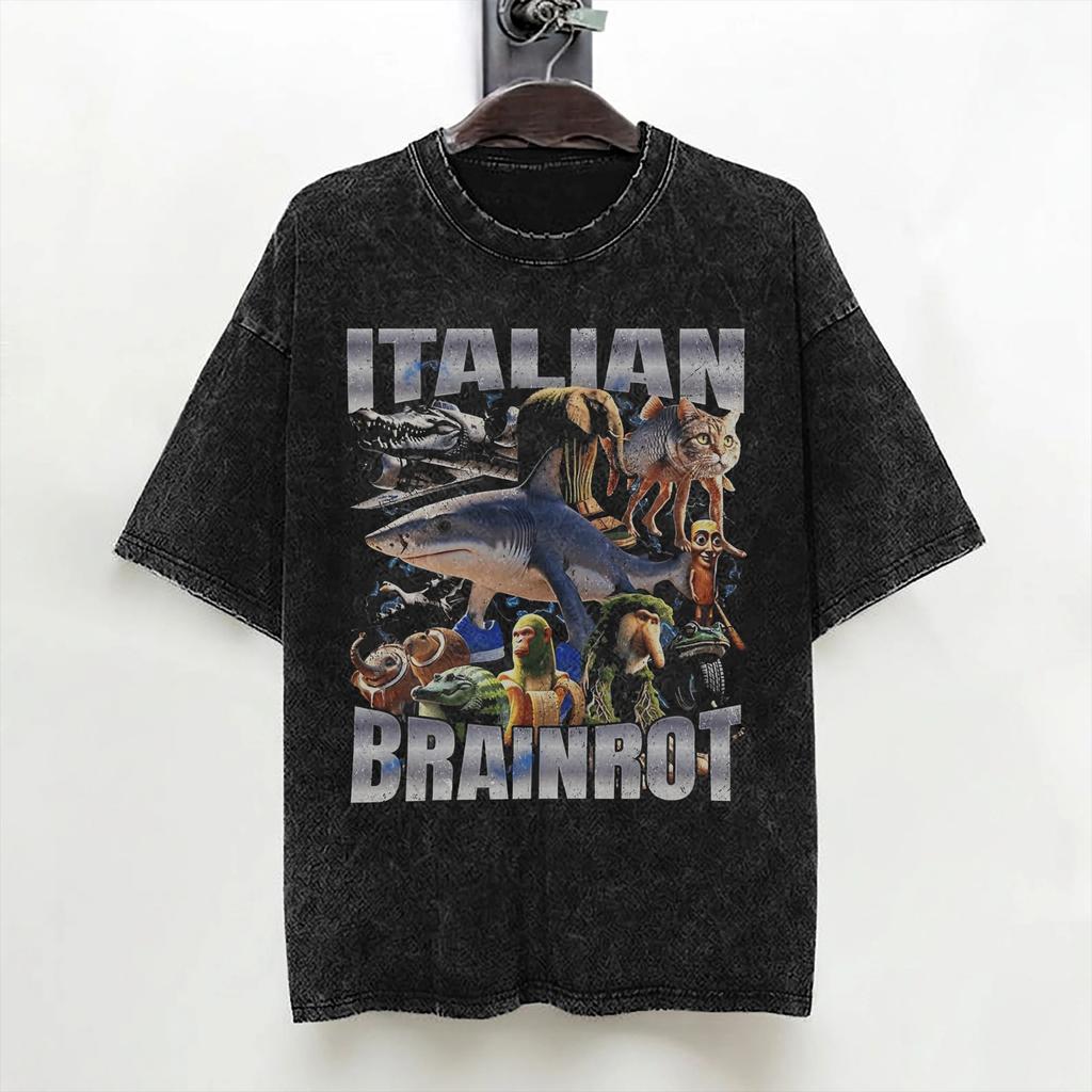 Bombardino Crocodilo Italian Brainrot Washed T Shirt Streetwear Hip Hop Casual Tshirt  Tees Men Women Short Sleeve Oversize