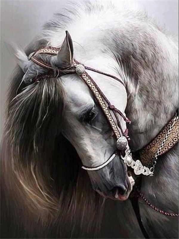 DIY Diamond Painting Animal Cross Stitch Full Round Drill  Steed Painting Embroidery Craft Home Decoration