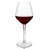 Bicchiere da vino con stelo infrangibile 100% Plastica Tritan Lavabile in lavastoviglie Bicchiere 15 oz, Set da 2-4