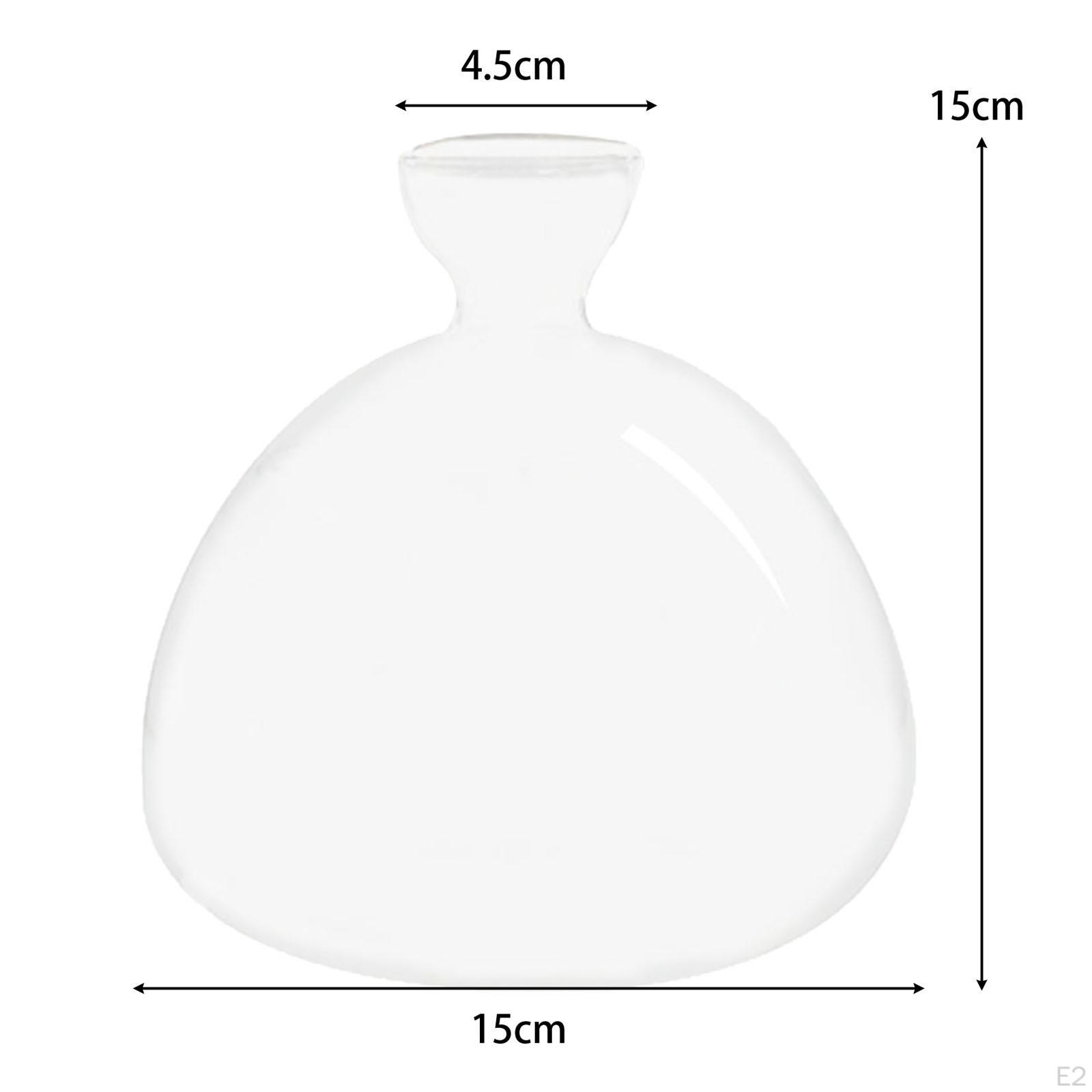 Vase de démarrage de graines d'avocats en verre transparent pour plantes hydroponiques - Kit de culture pour intérieur et bureau - Pots transparents pour la propagation des plantes