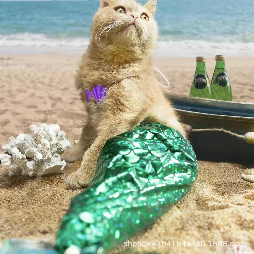 Mermaid Tail Cat Costume: Funny Swimsuit Bikini Prop for Modeling and Photoshoots.