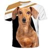 Summer Round Neck Animal Dog Pattern 3D Print Top Fashionable Casual Short Sleeved Men's T-shirts