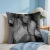 Model KKate MMoss Cushion Cover Square Pillow Bedroom Sofa Leisure Comfort Living Room Home Decoration X