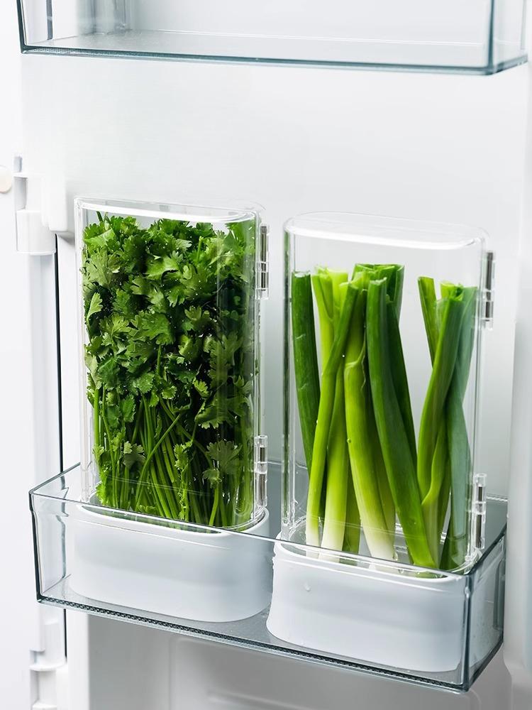 Coriander and Scallion Hydroponic Preservation Box Garlic Herb Mint Garlic Asparagus Water Cultivation Refrigerator Storage Box