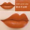 Li Jiaqi Recommend Non-Fading No Stain On Cup Red Lipstick Raincoat Matte Plain Face White Cherry Color Waterproof
