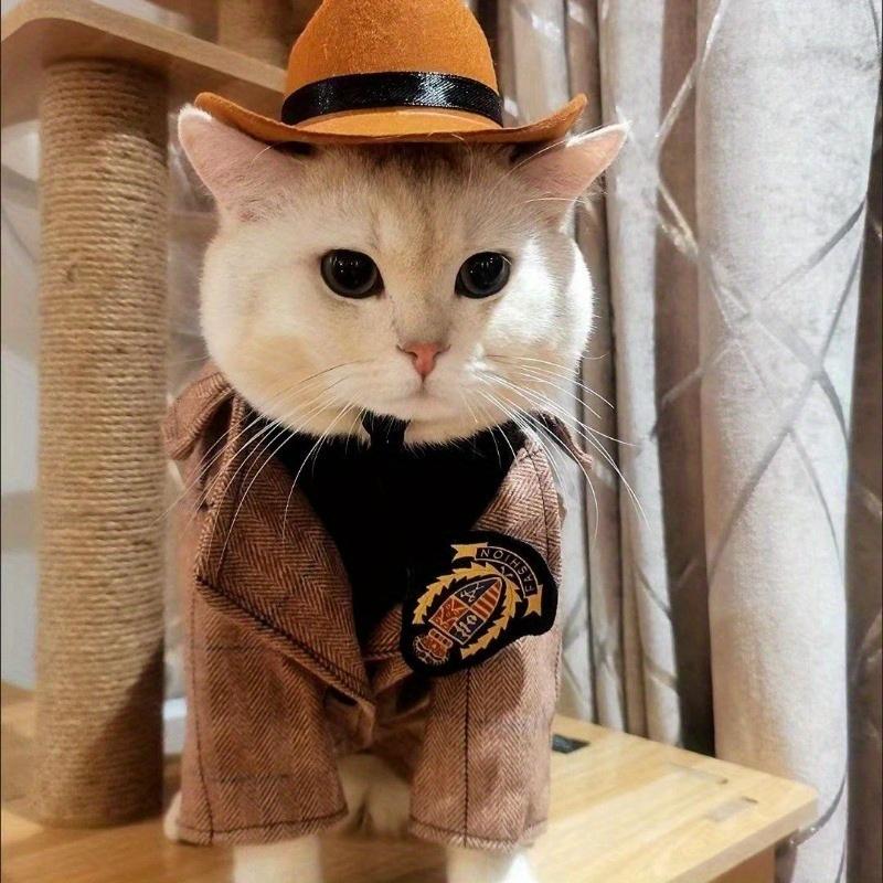 Western-Themed Pet Cowboy Hat for Both Cats And Dogs Pet Supplies