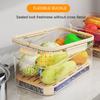 Portable Food Storage Container Large Capacity Airtight Freshness Box with Drain Plate for Outdoor Picnic Camping Use