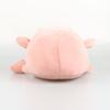 Ricky Rain Frog Cartoon Frog Doll Multi Color Pillow Soft Plush Toy Solitary