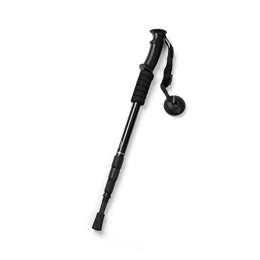 Hiking Poles 4 Sections High Strength Straight Shank Skidproof Handle Light Weight Walking Sticks for Camping Climbing