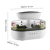 Bedroom Rain Humidifier   Includes a Cool Mist Essential Oil Diffuser, a White Noise Generator with 5 Natural Sounds, 7